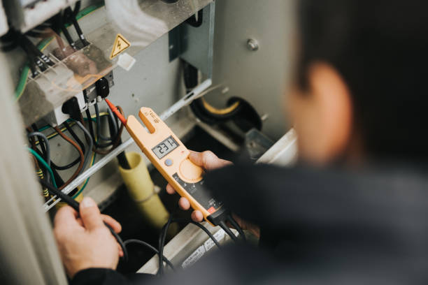 Best Electrical Panel Upgrades  in Oglesby, IL